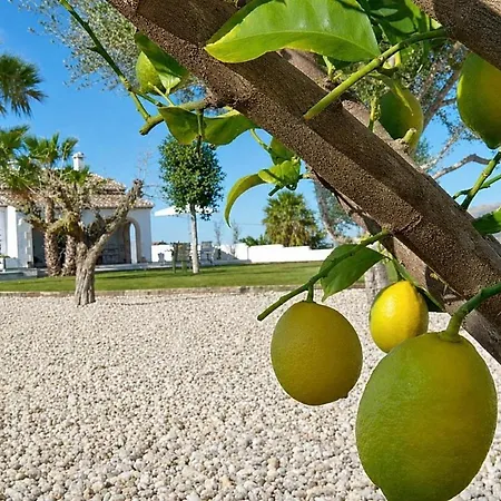 Orlando * Javea